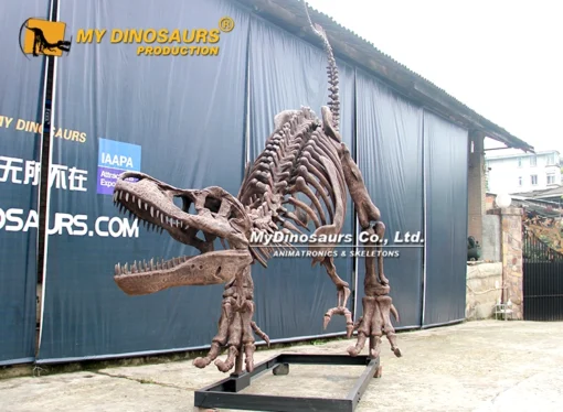 Unique Shape T.rex Skeleton Model 3