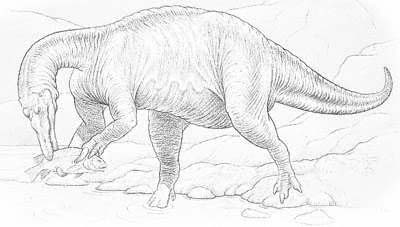 Baryonyx 1 bary