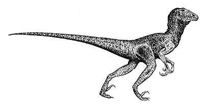 Deinonychus 1 deinon