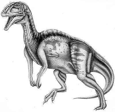 Yangchuanosaurus 1 yangchu