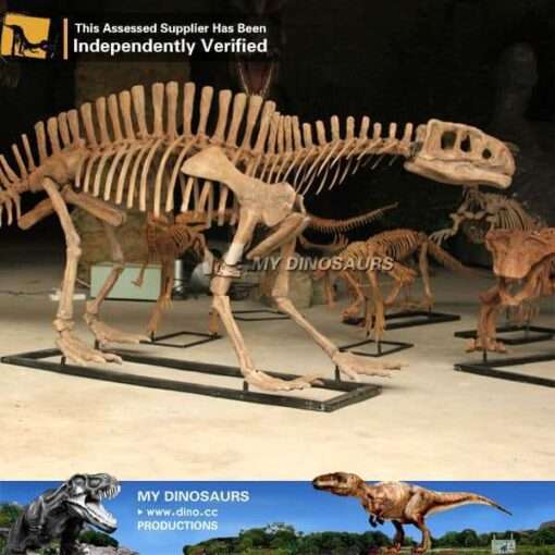 Lotosaurus skeleton