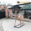5M Diplodocus Skeleton 3
