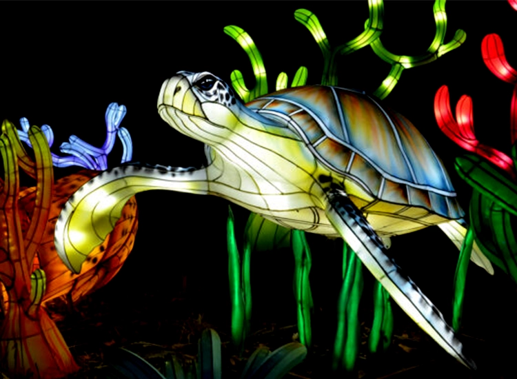 Animal shaped Lantern Sea Turtle Lantern 1