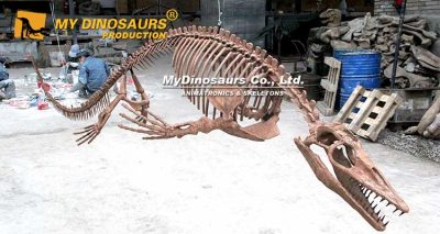 Mosasaurus skeleton
