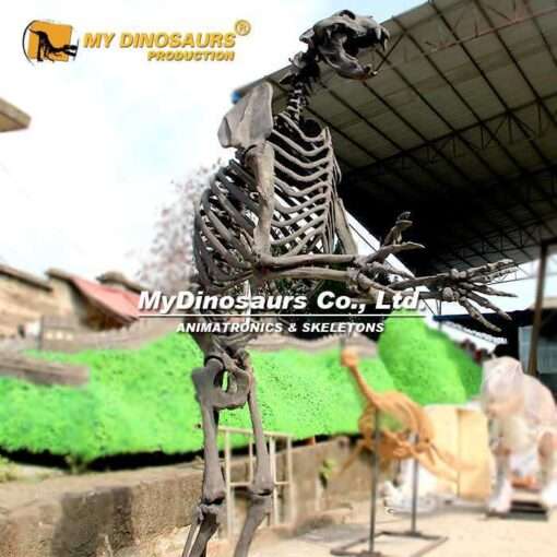 AS-009 Prehistoric Animal Skeleton Arctodus Replica 2 Prehistoric Animal Skeleton Arctodus Replica