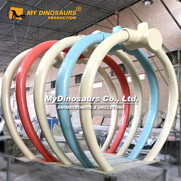 Productos Personalizados 13 Whale ribcage skeleton 1