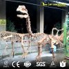 animated dilophosaurus skeleton