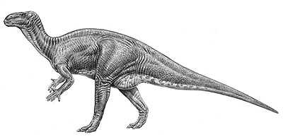 Iguanodon 1 iguano