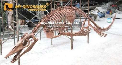 mosasaur skeleton