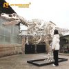 silver dinosaur skeleton 1