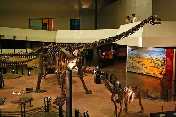 Phu Wiang Dinosaur Museum in Khon Kaen 3 Phu Wiang Dinosaur Museum