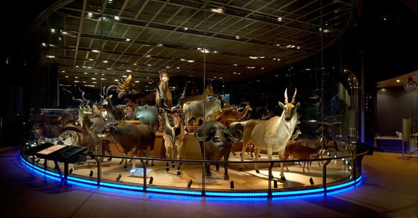 National Museum of Nature and Science in Tokyo 1 NMNS