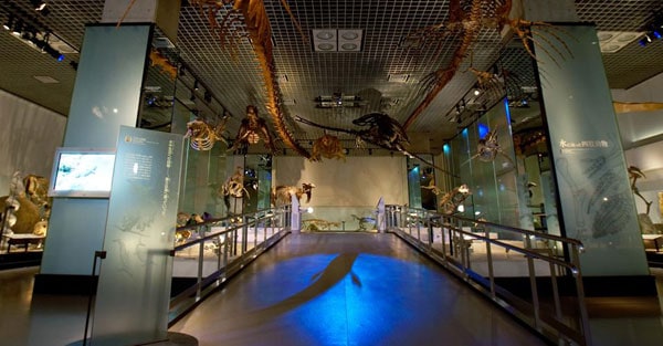 National Museum of Nature and Science in Tokyo 6 NMNS