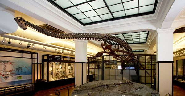 National Museum of Nature and Science in Tokyo 3 NMMS