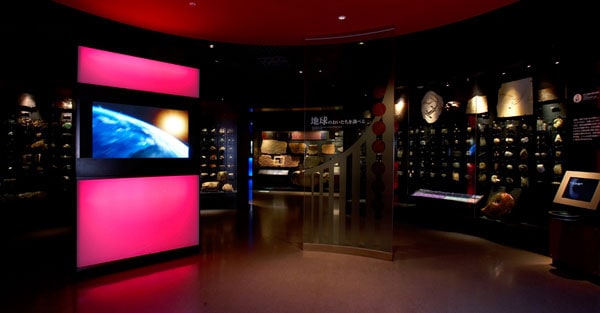 National Museum of Nature and Science in Tokyo 5 NMNS