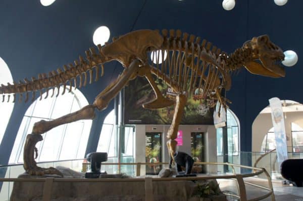 Jurassic Land