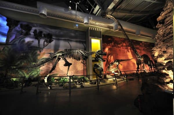 Jurassic Land
