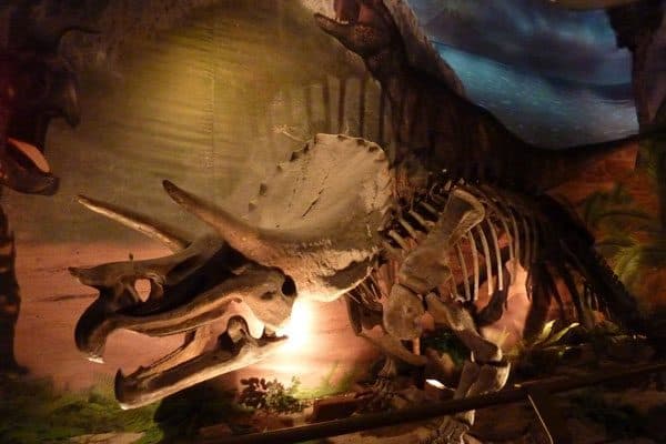Jurassic Land