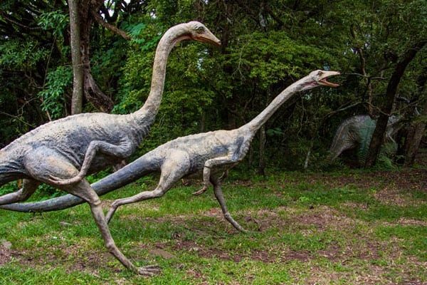 Sudwala Dinosaur Park: Not Only a Park 2 Sudwala Dinosaur Park