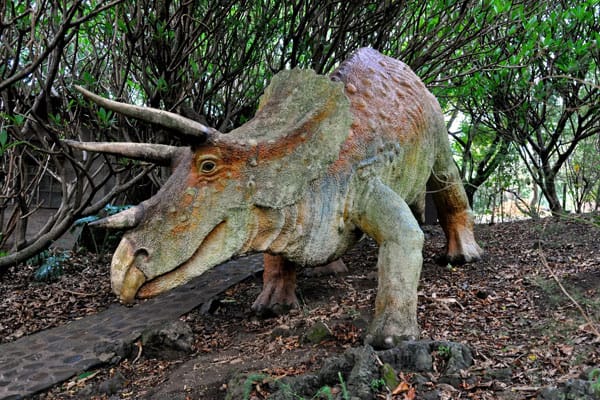 Sudwala Dinosaur Park: Not Only a Park 3 Sudwala Dinosaur Park