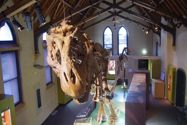 The Australian Fossil and Mineral Museum in Bathurst 4 AFMM