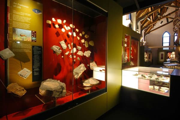 The Australian Fossil and Mineral Museum in Bathurst 5 AFMM