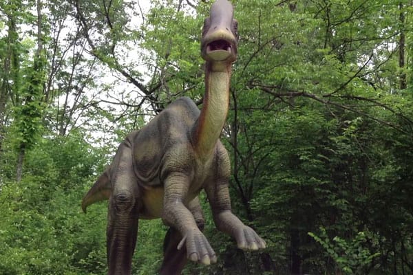 Meeting Dinosaurs in Dinosaurs Alive! 5 Dinosaurs Alive!1