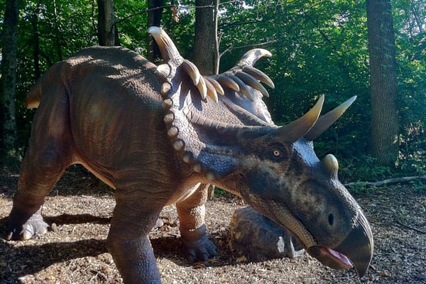 Meeting Dinosaurs in Dinosaurs Alive! 2 Dinosaurs Alive!3
