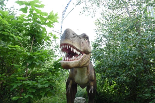 Meeting Dinosaurs in Dinosaurs Alive! 4 Dinosaurs Alive!4
