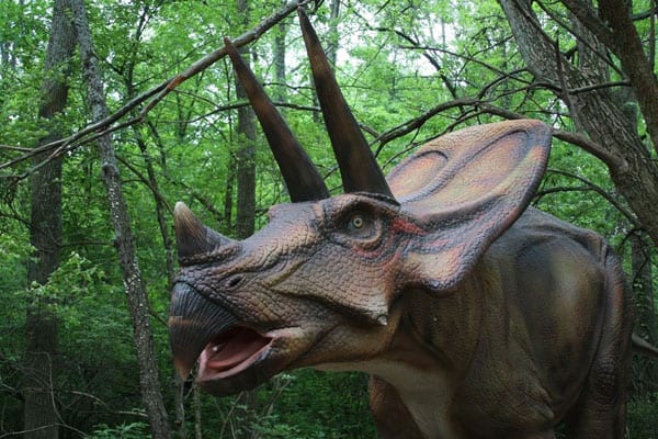 Meeting Dinosaurs in Dinosaurs Alive! 6 Dinosaurs Alive!8
