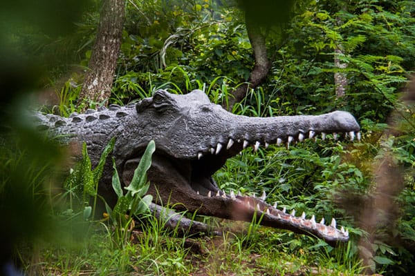Sudwala Dinosaur Park: Not Only a Park 5 Sudwala Dinosaur Park