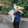 Pterosaur Puppet 2