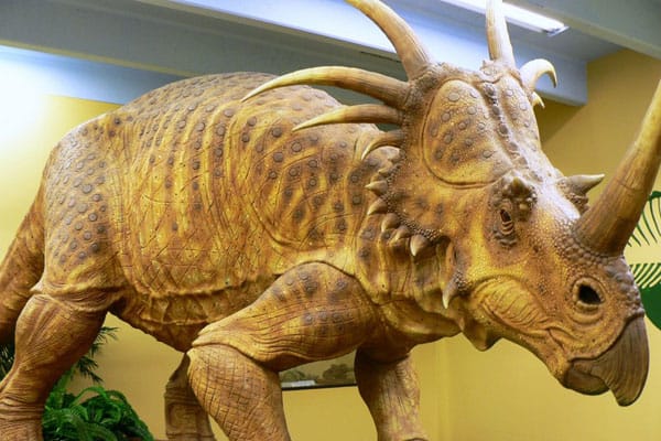 The Dinosaur Museum in Blanding, Utah 3 The Dinosaur Museum 3
