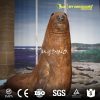 Animatronic animal Sea Lion Replica
