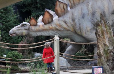 A girl and stegosaurus