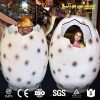 dinosaur eggs 2