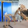 Monolophosaurus skeleton 1