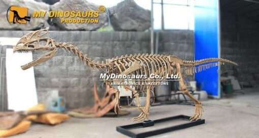 Monolophosaurus skeleton