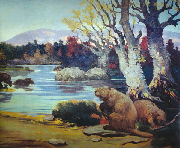 Castoroides