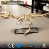 Psittacosaurus fossil replica