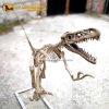 Velociraptor skeleton Handmade Life Size Velociraptor Fossil Model