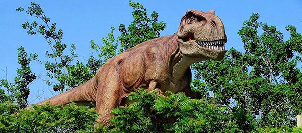 Dinosaur Park Adventure 1
