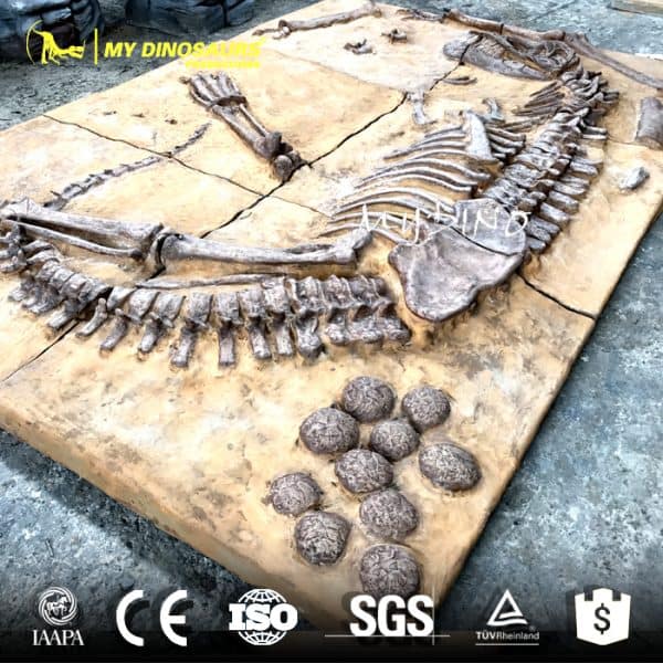 Have an Outdoor Dinosaur Dig Excavation Activity in a Dinosaur Park 2 Dig it out dinosaur T REX 1
