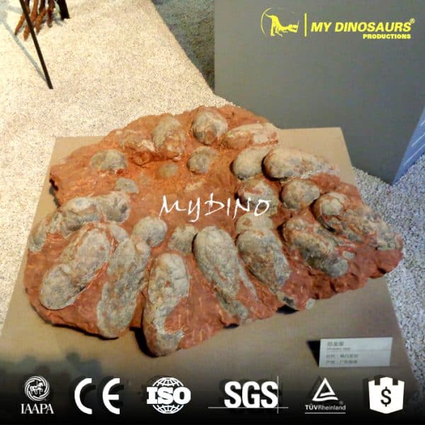 Have an Outdoor Dinosaur Dig Excavation Activity in a Dinosaur Park 3 dinosaur fossils eggs for sale