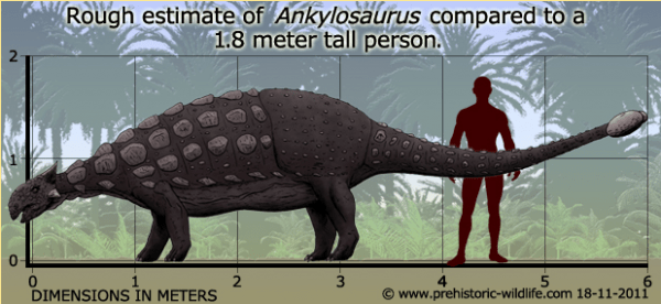How to Pick Up the Dinosaur for Your Dinosaur Park 9 Ankylosaurus