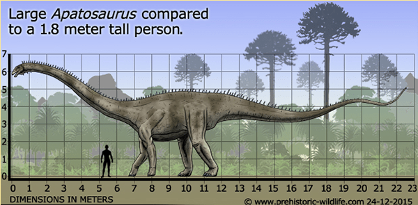 How to Pick Up the Dinosaur for Your Dinosaur Park 7 Apatosaurus