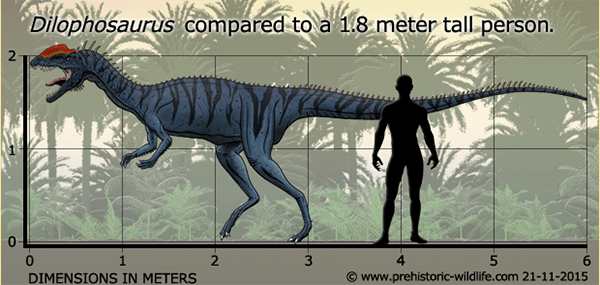 How to Pick Up the Dinosaur for Your Dinosaur Park 8 Dilophosaurus