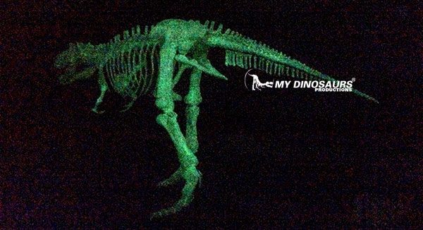 Fluorescent dinosaur skeleton