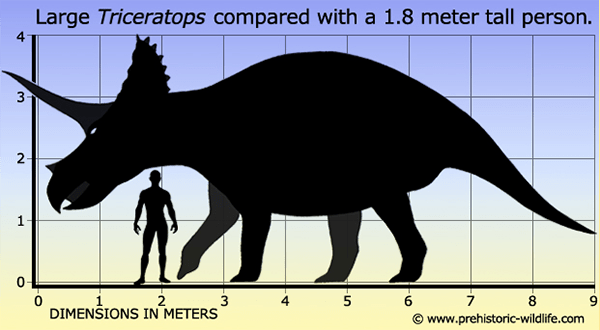 How to Pick Up the Dinosaur for Your Dinosaur Park 3 Triceratops