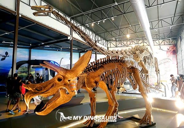 dinosaur planet dinosaur skeleton